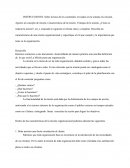 Misión organizacional, sus características, rol e importancia en la organización