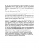 Desde su ingreso a China Bimbo, tomó en consideración las diferencias que existían entre ambas regiones, e incluso realizaron varios estudios de mercado