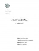 A que se le llama La elasticidad