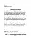 TEMA DE QUE SON LOS DERECHOS HUMANOS?