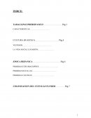 Impactos de revolucion en tamaulipas