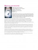 Maravilloso Desastre