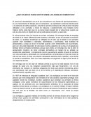 ¿Qué violencia puede existir sobre los animales domésticos?