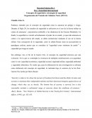 Análisis Estrategia de Seguridad OTAN