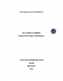 GUÍA 9 MANUALES DE PROCEDIMIENTOS.