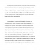 El currículum escolar