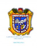 MEDIDAS DE SEGURIDAD Y MANEJO DE SUBSTANCIAS QUÍMICAS PELIGROSAS