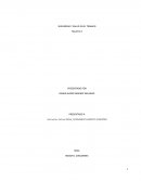 SEGURIDAD Y SALUD EN EL TRABAJO TALLER # 1