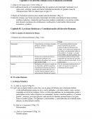 Derecho de Roma