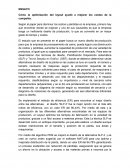 Ensayo Production Layout Optimization for Small and Medium Scale Food