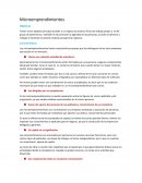 Microemprendimientos. Características