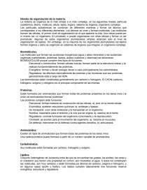 La materia se organiza de lo más simple a lo más complejo, en los siguientes niveles: partícula subatómica, átomo, molécula, célula, tejido, órgano, sistema de órganos. Página 1