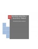Seguridad y salud en el trabajo