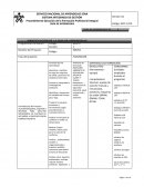 Guia de planeacion. Programa de Formación