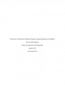 Técnicas de Control para las Sustancias Peligrosas, sustancias peligrosas en la Industria