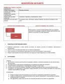 Presentacion de puesto