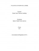 TALLER DE CATEDRA DEL CARIBE