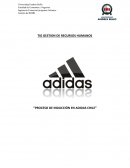 PROCESO DE INDUCCIÓN EN ADIDAS CHILE