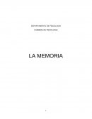 La memoria