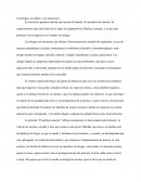 Las drogas, sus daños y sus soluciones.