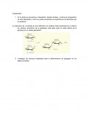 Laboratorio de biomoleculas