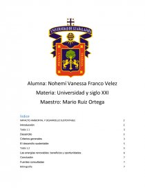 Impacto Ambiental y desarrollo Sustentable. Página 1