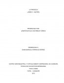 LA PARADOJA ¿Cuál es la esencia del liderazgo?