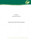Actividad Eleccion de un caso Cultivo Hidropónico