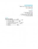 Historia de la urbanización