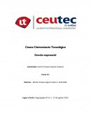 Ejemplo de el Derecho Empresrial