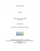 En que consiste la Gestion ambiental