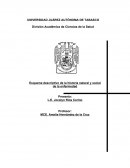 Esquema descriptivo de la historia natural y social de la enfermedad