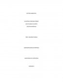 RESUMEN EMPRESA BIOFILM