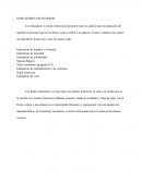 Indicadores Financieros