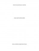 Como es el Proyecto de investigacion