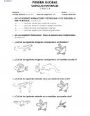 Prueba lectura complementaria