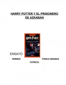 Ensayo ley general de salud