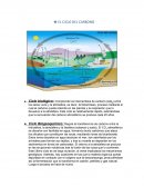EL CICLO DEL CARBONO . COMO SE HA INCREMENTADOLA CONCENTRACION DE CO2 EN LA ATMÓSFERA
