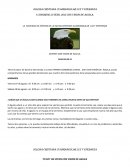 LA SOCIEDAD DE JÓVENES DE LA IGLESIA CRISTIANA CUADRANGULAR LUZ Y ESPERANZA