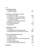 METODOLOGÍA PARA LA IMPLEMENTACIÓN DE UN SISTEMA DE CALIDAD Y SU CERTIFICACIÓN EN LA NORMA ISO 9000