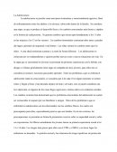 La adolescencia y su desarrollo