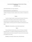 Caracterización del Empleo Informal en Villavicencio desde el Enfoque Neoestructural