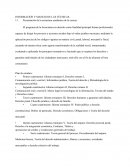 Técnicas de investigación