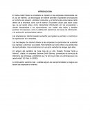 INTRODUCCION OPORTUNIDADES Y RIESGOS