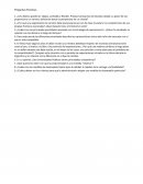 Administracion de operaciones. Preguntas practicas