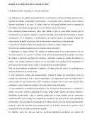 Dubet declive de la institucion INTRODUCCÍON: TRABAJO Y SOCIALIZACION