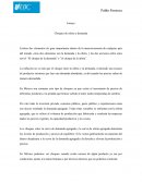 Ensayo de choques de oferta de la demanda