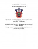 Gestión profesional en la Seguridad Laboral e Higiene