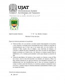 Como se da un gran Analisis te doy mis ojos