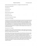 Estrucura de un reporte de practca psicopedagogica